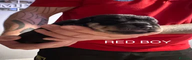 Rottweiler Puppy 4