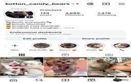 British Shorthair cats for sale: Lilac bi colour boy pure British shorthair ready😻 - Image 5