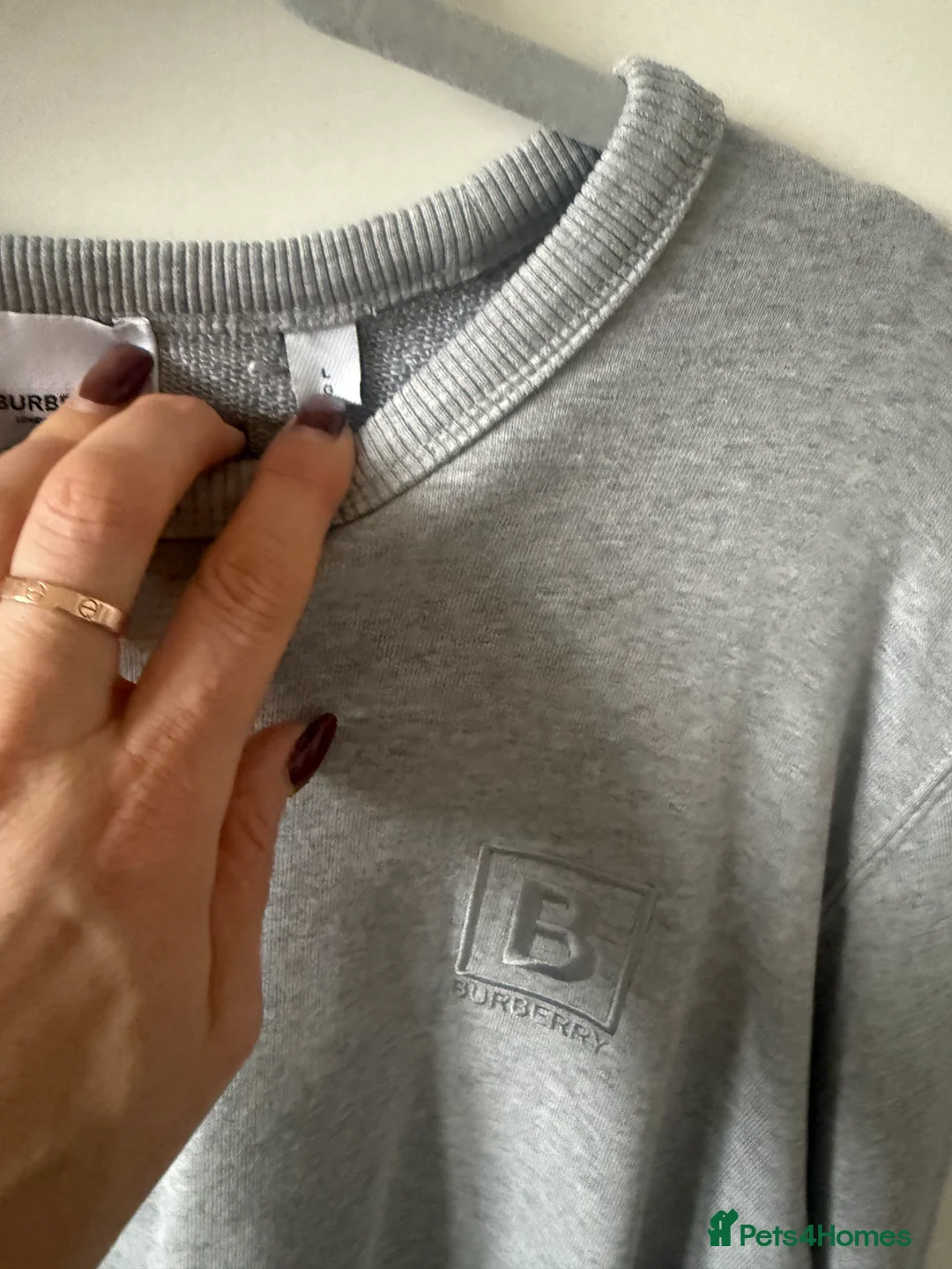 Miniature Dachshund dogs for sale: Two female mini dachshunds - Advert 8