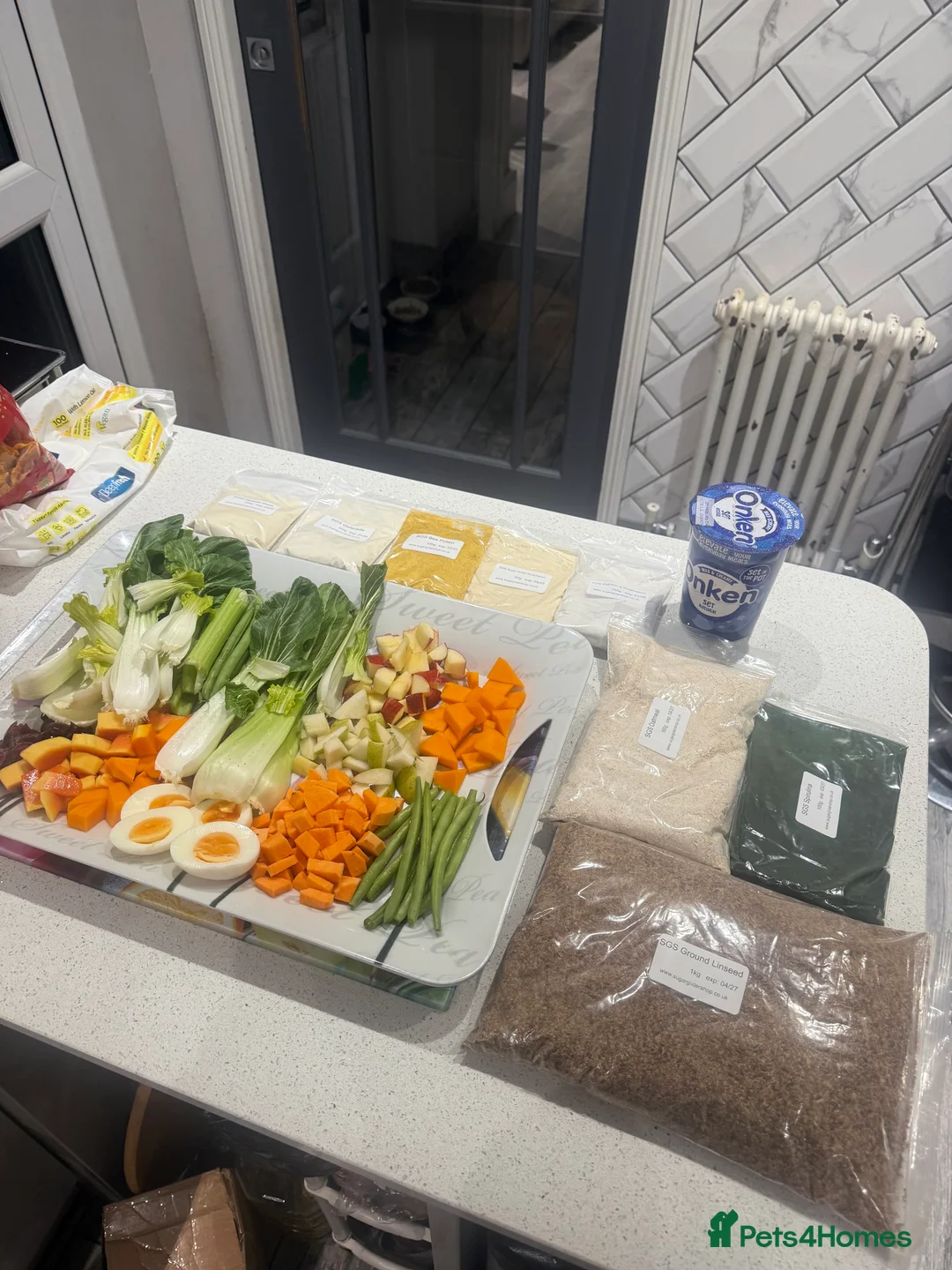 Sugar Glider rodents for sale: Sugar glider with cage  - Advert 3