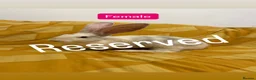 Continental Giant rabbits for sale: Continental Giant Baby Rabbits - Advert 5