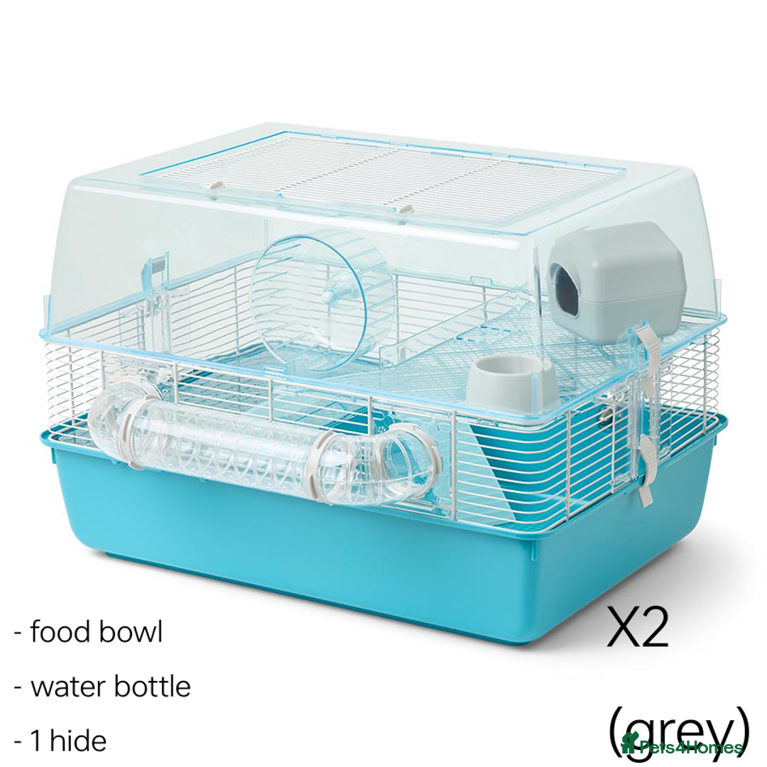 Hamster rodents for sale: 4 hamster cages frozen for sale - Image 3