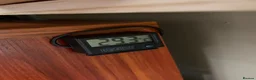 Leopard Gecko reptiles for sale: Leopard Gecko + Full Setup in Ipswich - Advert 10