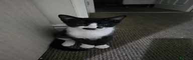Black and white