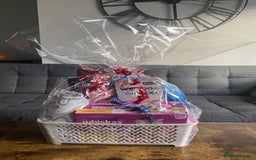 British Shorthair cats for sale: Stunning British Short Hair kitten GCCF/TICA - Image 25