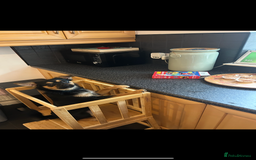 Mixed Breed dogs for sale: Juno  - Advert 3