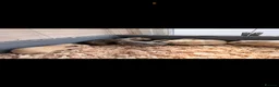 Guinea Pig rodents for sale: Guineapigs for sale - Advert 2