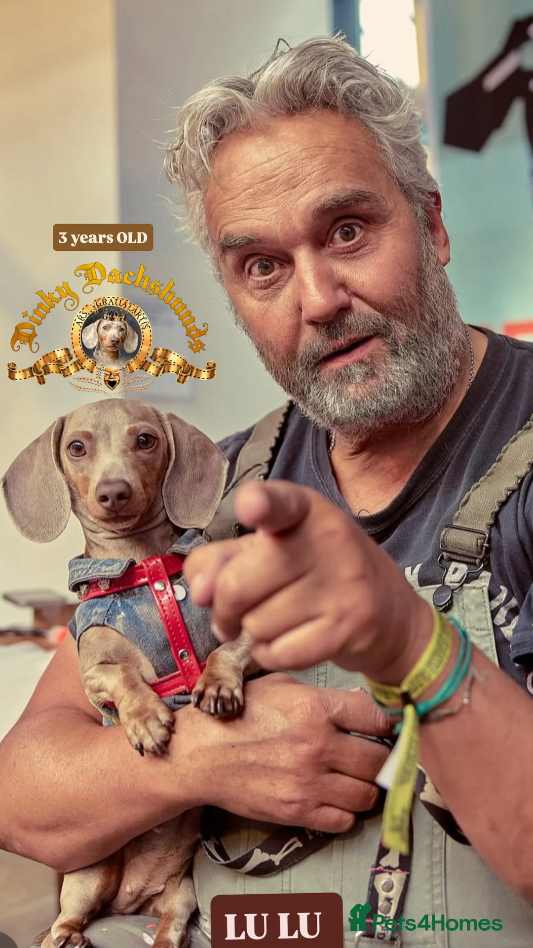 Gallery Image {{count}}