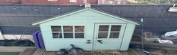Mini Lop rabbits for sale: Male and female bonded pair of mini lop rabbits  in Bolton - Advert 6