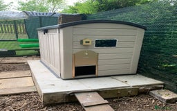 Chickens poultry for sale: Full chicken set up with chickens  - Image 1