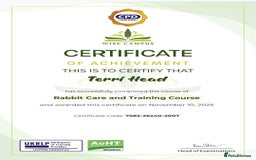 Mini Lop rabbits for sale: Baby pure bred mini lop rabbits sooty-fawn colour  - Advert 6