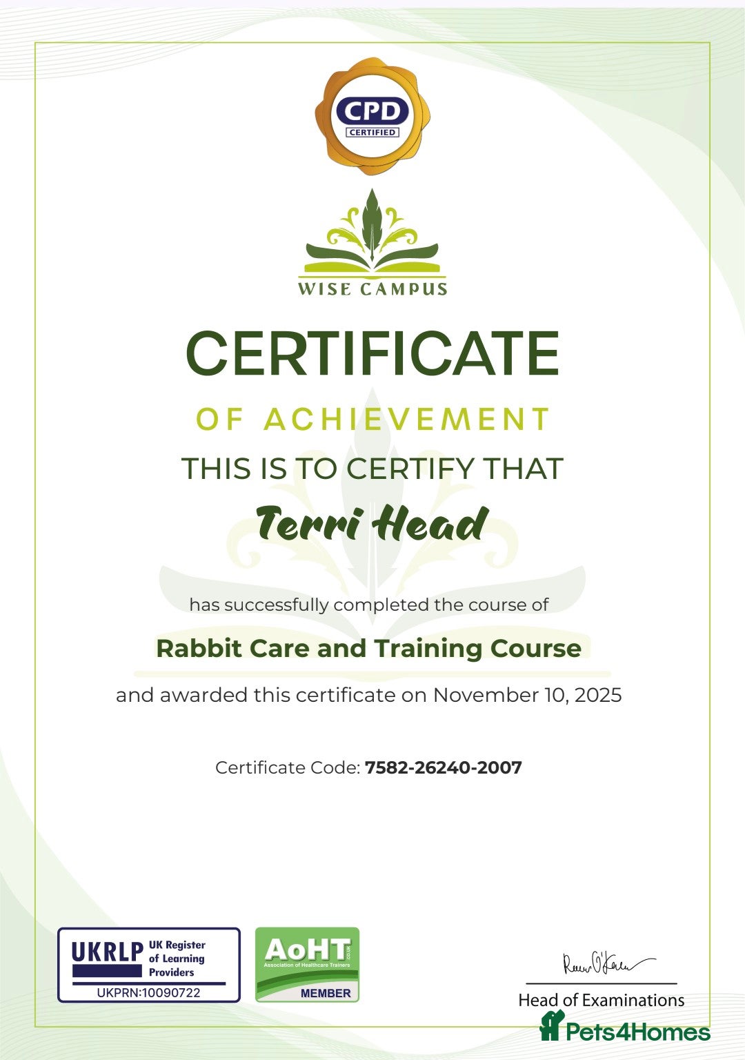 Mini Lop rabbits for sale: Baby pure bred mini lop rabbits sooty-fawn colour  - Advert 6