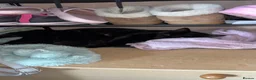 Mixed Breed cats for sale: 5 All black kittens - Advert 1