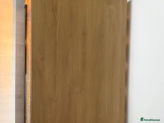 Tortoise reptiles (Harold) Horsfield turtle - Advert 1