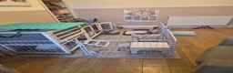 Mini Lop rabbits for sale: Rabbits two females must go together  in Exmouth - Advert 7
