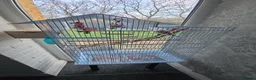 Budgerigars birds for sale: Budgies with cage  - Advert 6