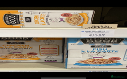 Ragdoll cats for sale: Lovely Ragdoll looking for lovely family - Advert 17