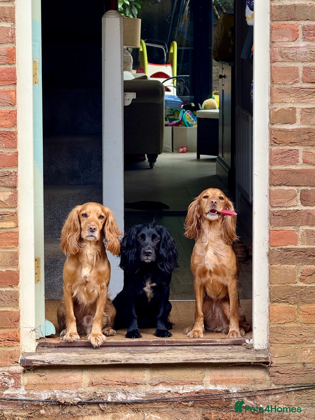 Gallery Image {{count}}