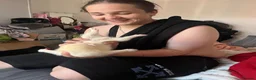 Ferret rodents for sale: baby albino ferret - Advert 6