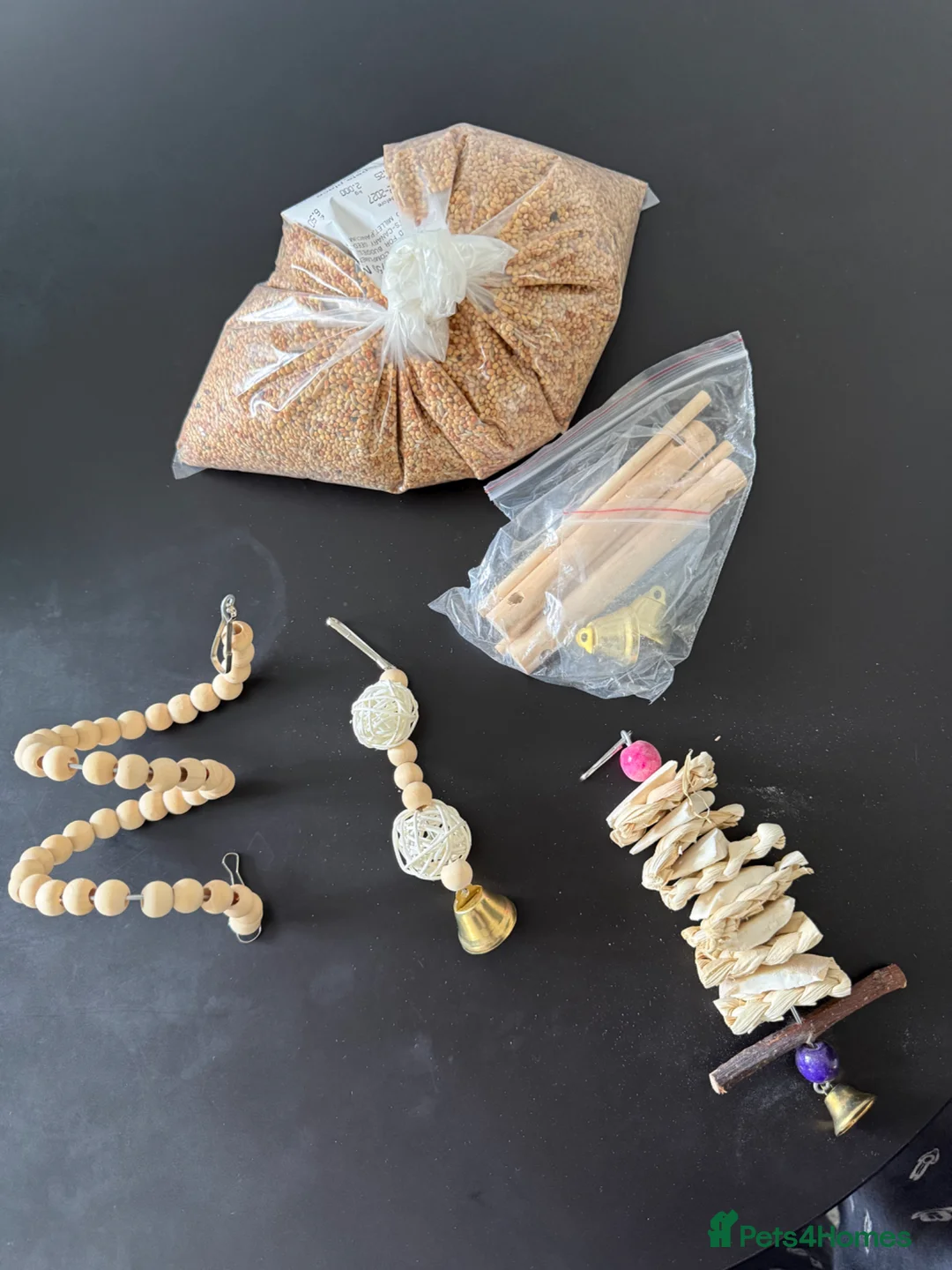 Budgerigars birds for sale: Budgie in Wallington - Advert 2