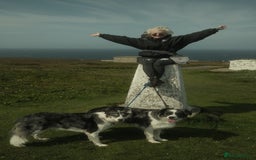 Border Collie dogs for stud: *proven* health tested working merle border collie in Leeds - Image 7