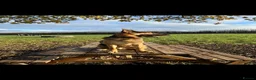 German Shepherd dogs for sale: German Shepherd - Jango  - Advert 12