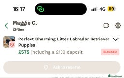 Mixed Breed dogs for sale: PLEASE BE AWARE OF THIS SCAMMER  - Image 3
