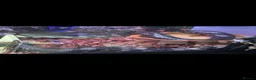Snake reptiles for sale: Male and female false water cobras in Tilbury - Advert 1