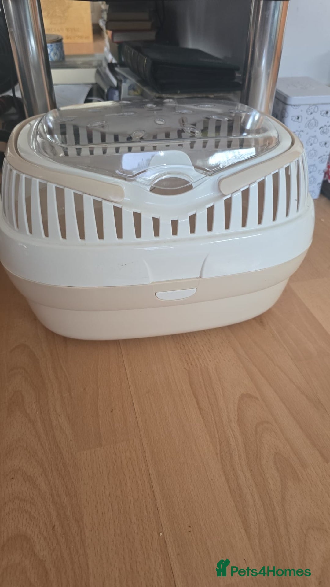 Guinea Pig rodents for sale: For Sale  - Image 2