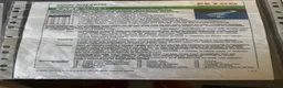 Parrots birds for sale: African grey parrot  - Advert 6