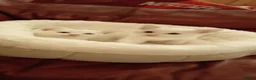 Mixed Breed cats for sale: 2 sweet snowballs  - Advert 5