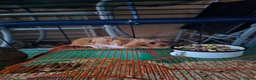 Hamster rodents for sale: Friendly Syrian Hamster – Healthy & Well Handled in Windsor - Advert 1