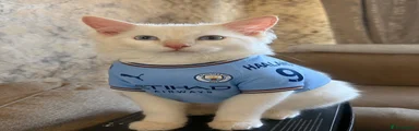 Haaland 🐈‍⬛💕