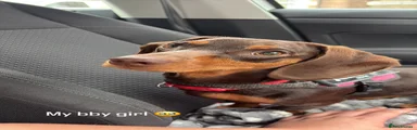 Winnie