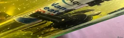 Plecos fish for sale: Baby Bristlenose pleco in Basingstoke - Advert 3