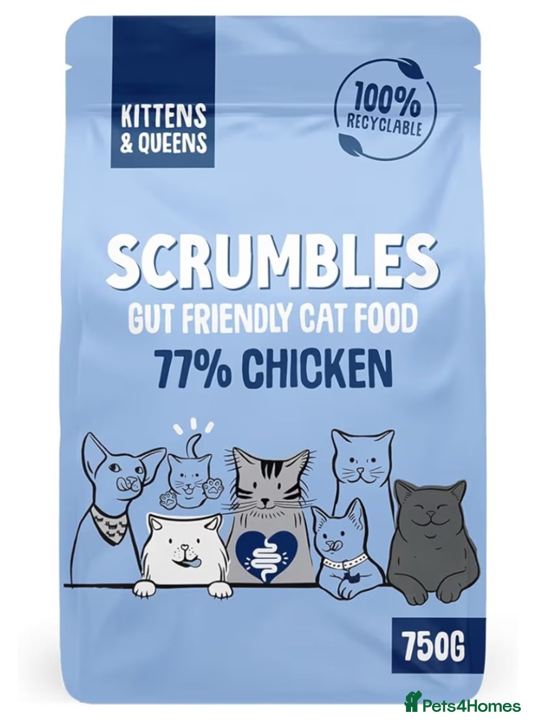 Mixed Breed cats for sale: Purrfect Rare Elf Eared Fur Babies Ready 14th Feb - Advert 15