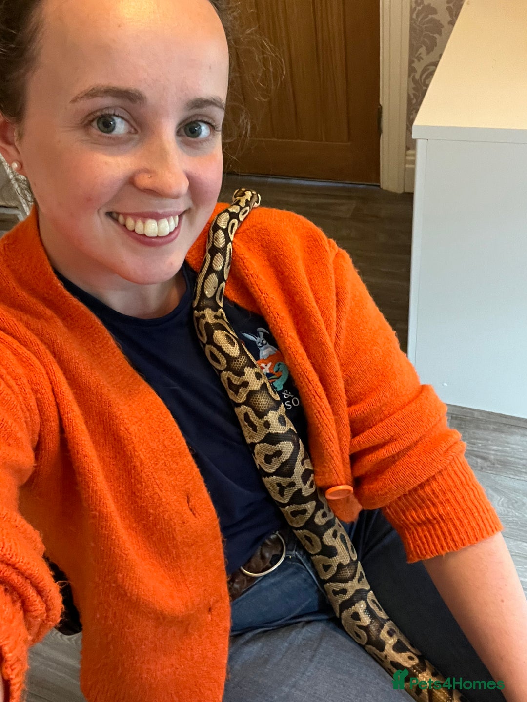 Python Snake reptiles for sale: Royal python and custom viv - Image 3