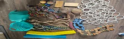 Rat rodents for sale: Rat cage (no rats) - full set up in Colchester - Advert 2