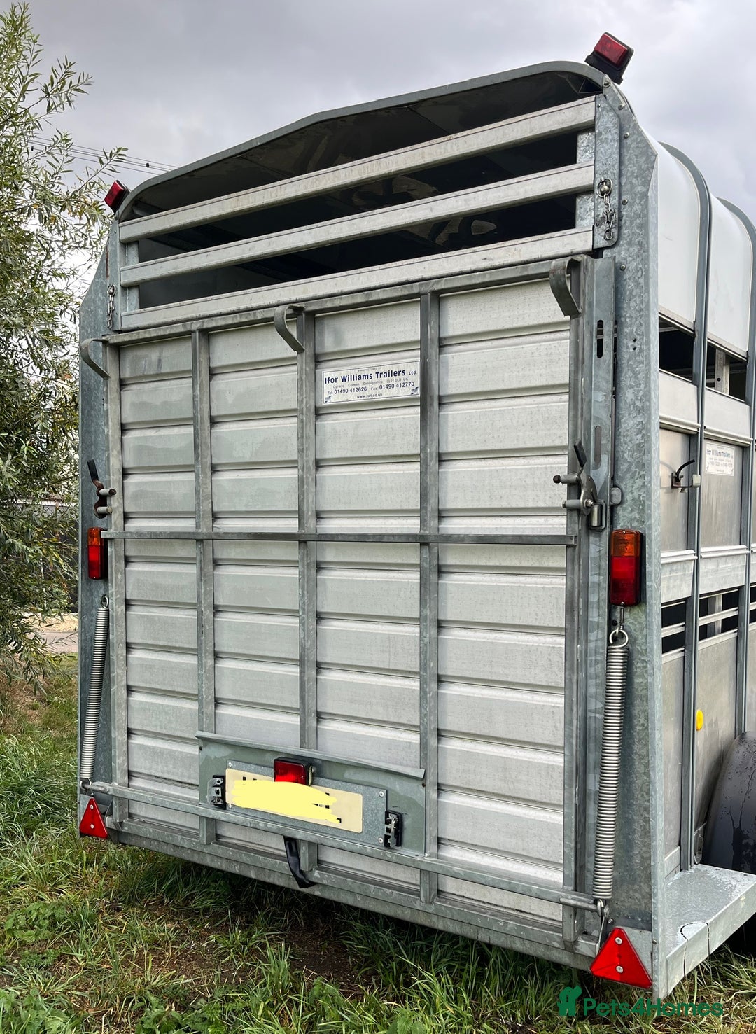 Cows & Bulls livestock for sale: Ifor Williams Livestock Trailer  - Image 2