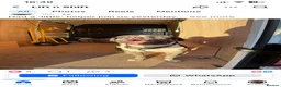 Mixed Breed dogs for sale: Tri-Coloured Male Mastiff in Barnsley - Advert 1
