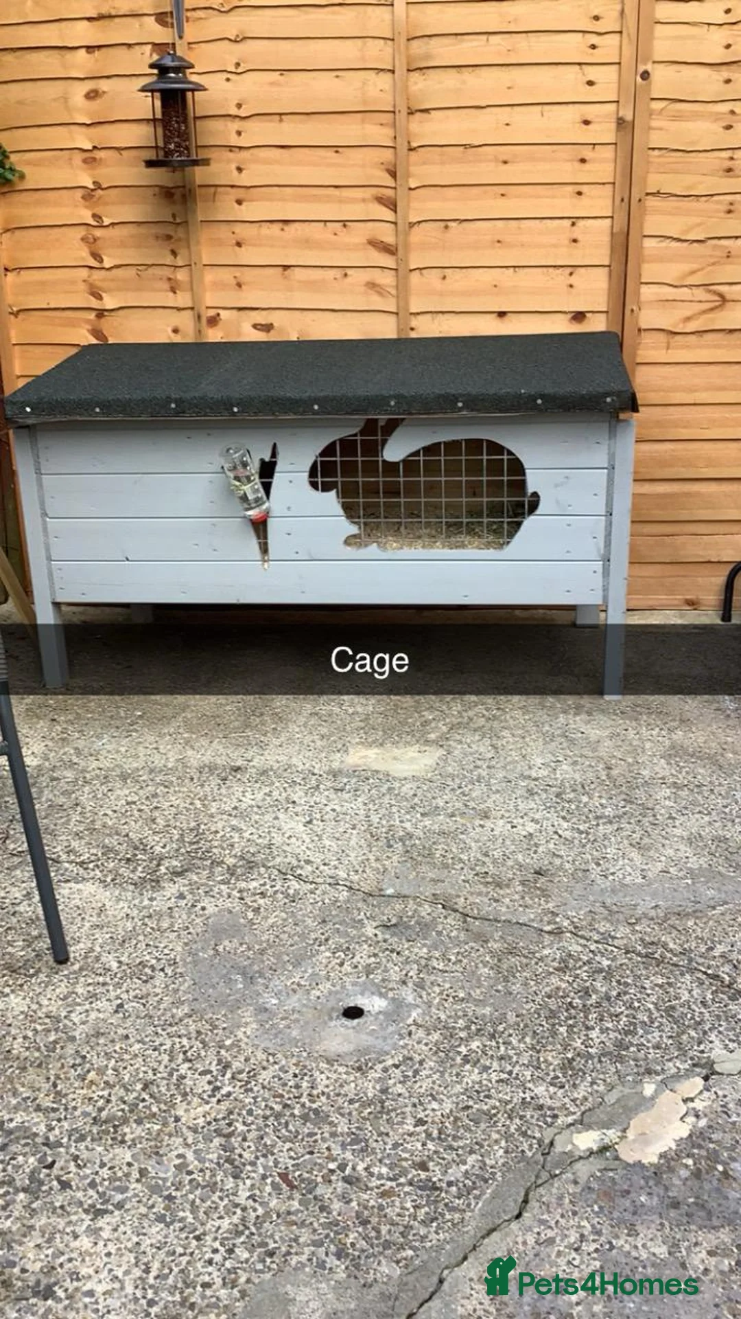 Mixed Breed rabbits for sale: 2 lop eared rabbits and cage - Advert 4