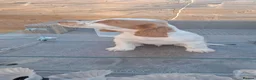 Sprocker dogs for sale: Ready Now.... Adorable sprocker puppies  - Advert 5