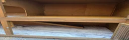 Ferret rodents for sale: Pair of Gills, tame sisters and full setup  - Advert 5