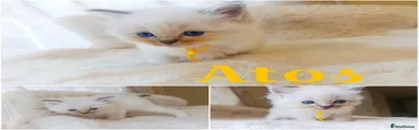 Atos