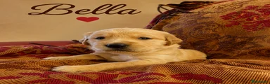 Bella