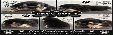 Frug 4
