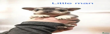Little man 