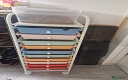 Quail poultry for sale: Mealworm farm for quail or other pets - Image 1