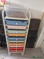 Quail poultry Ad Edited with more quail- Mealworm farm for quail - Advert 2