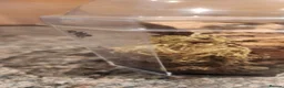 Spiders invertebrates for sale: Bahamas jumping spider  in Brigg - Advert 4